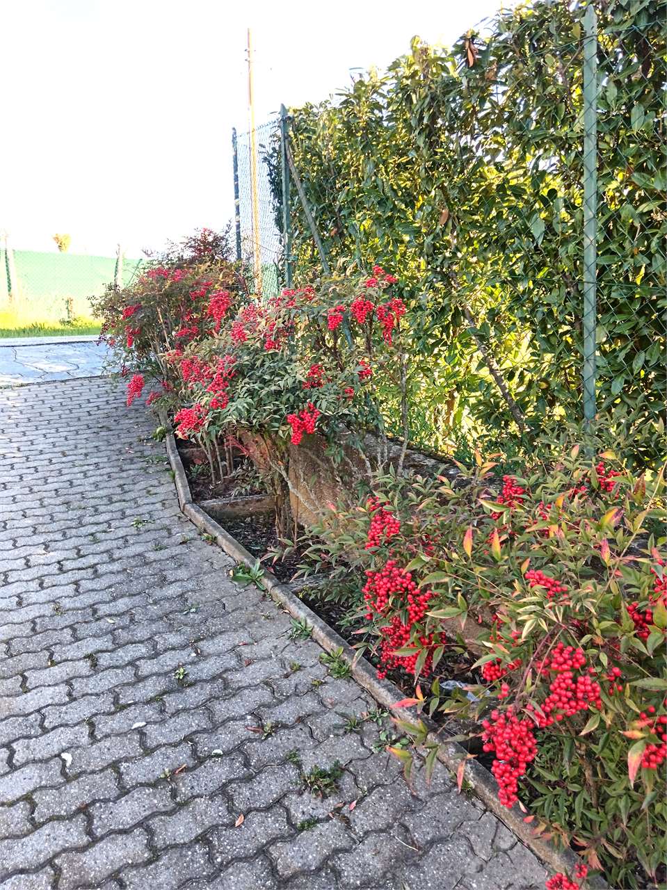Villa in vendita a Valenza (AL)