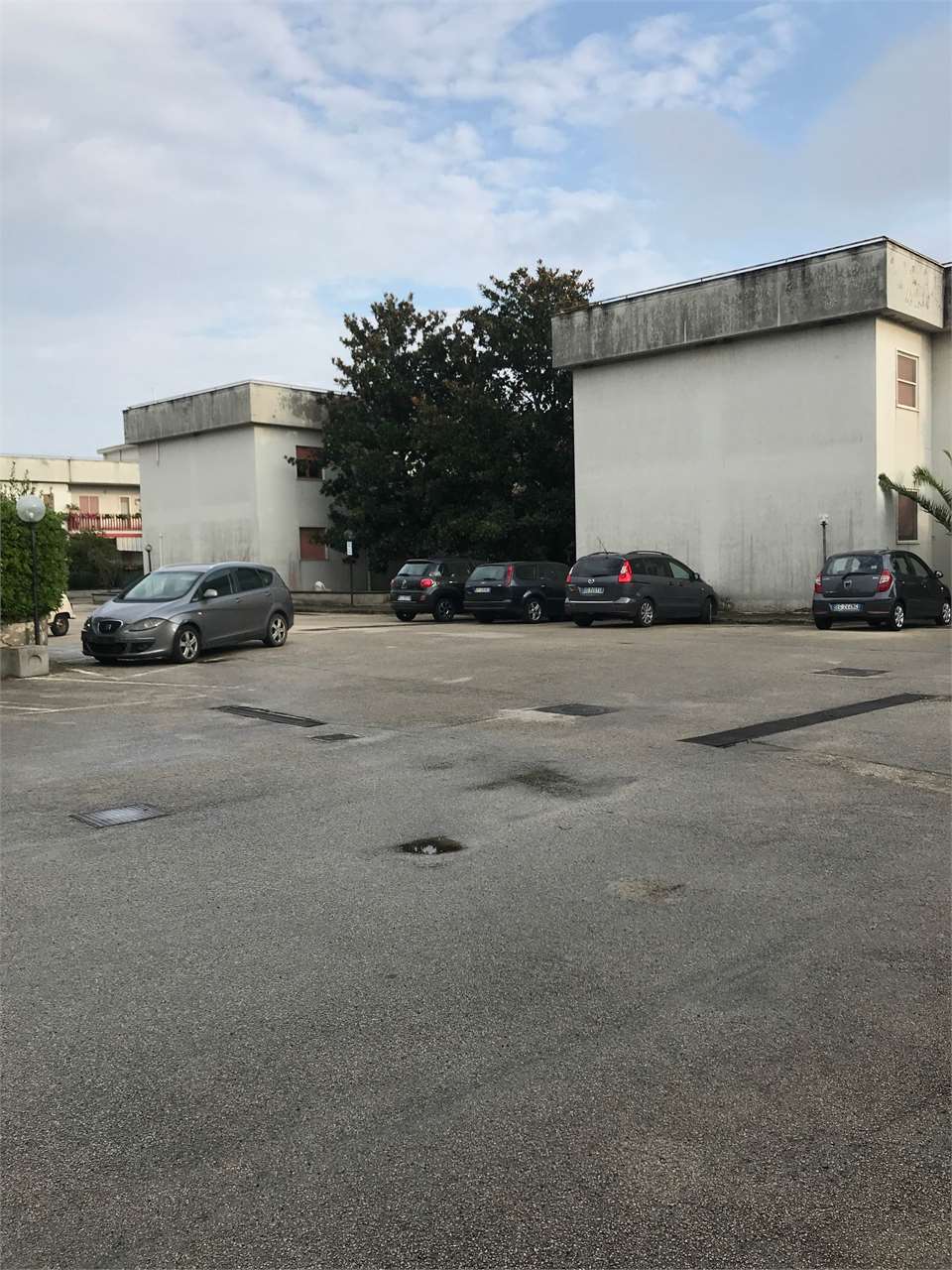 immagine annuncio 12 di 14