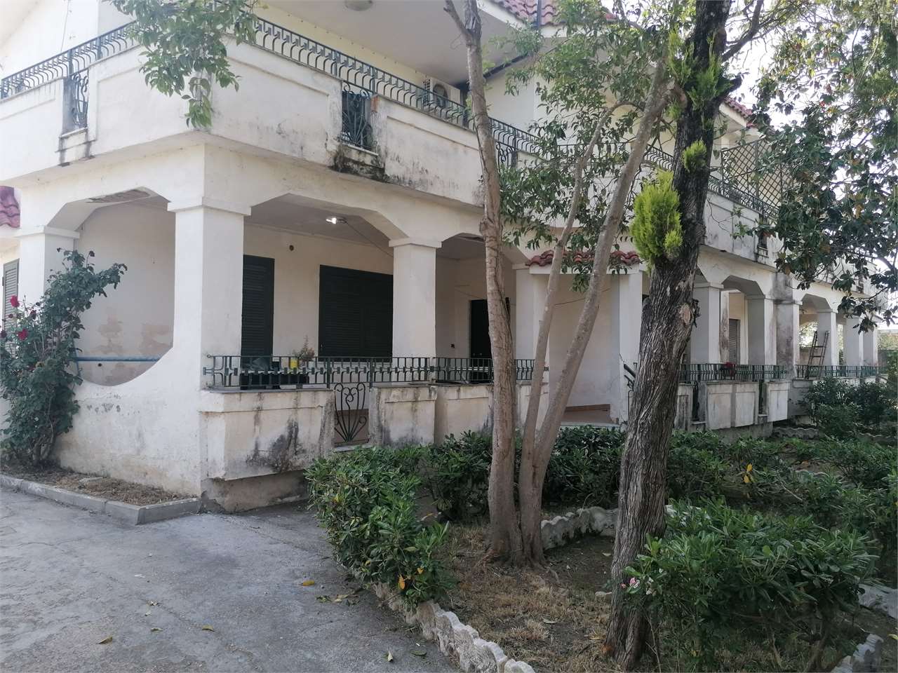 immagine annuncio 1 di 3