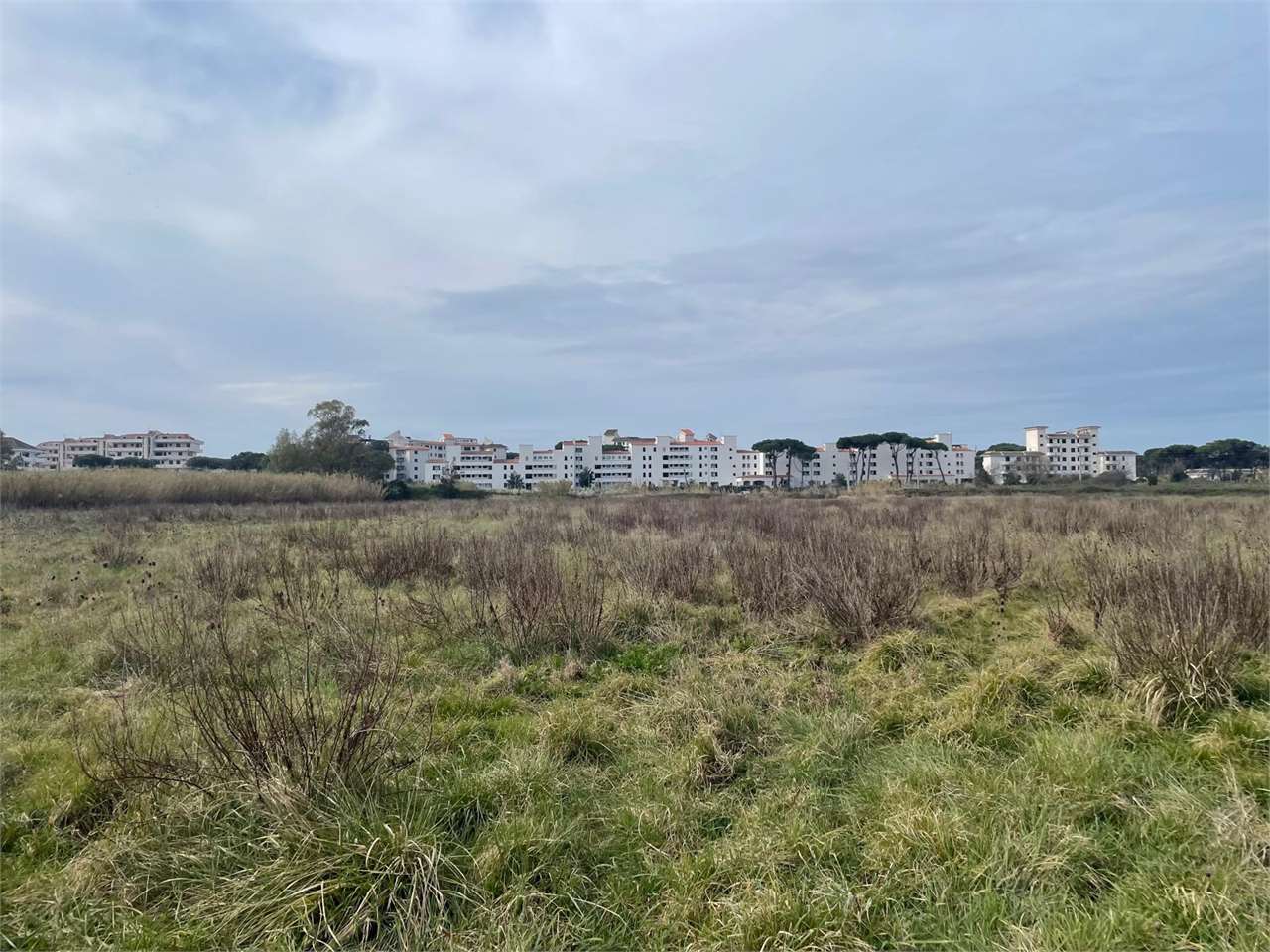Terreno agricolo in vendita a Cellole (CE)