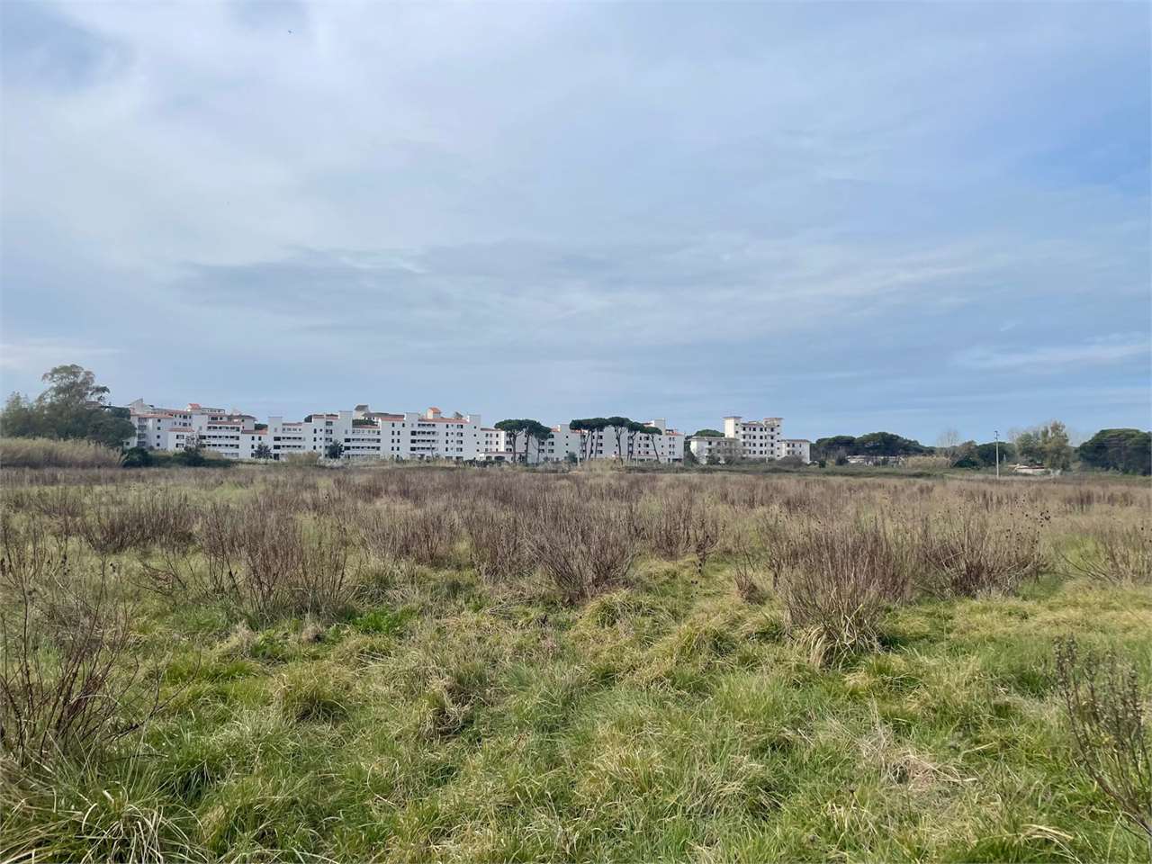 Terreno agricolo in vendita a Cellole (CE)