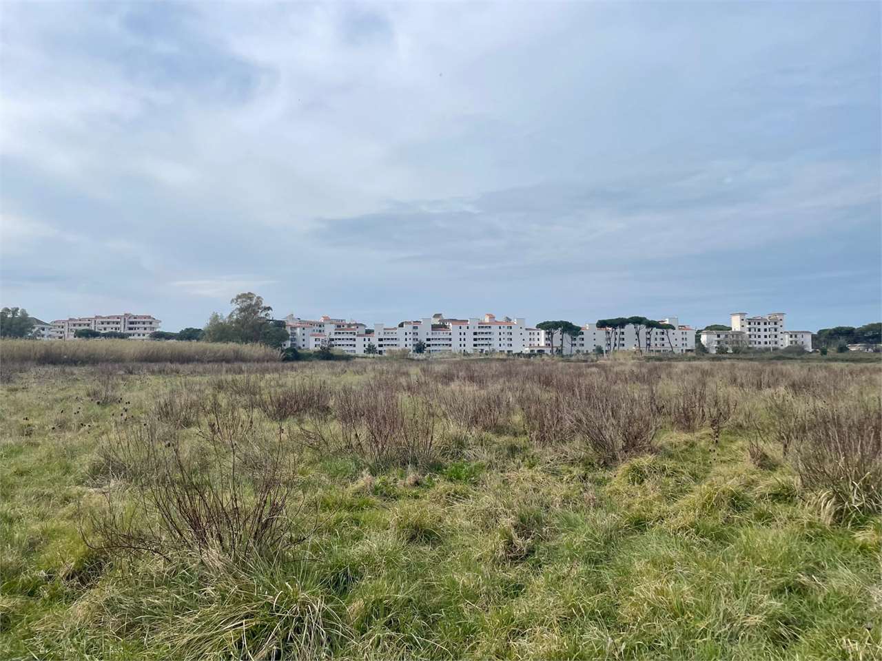 Terreno agricolo in vendita a Cellole (CE)