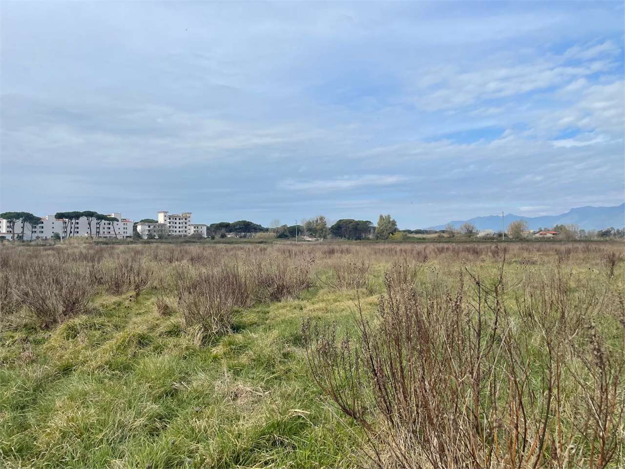 Terreno agricolo in vendita a Cellole (CE)