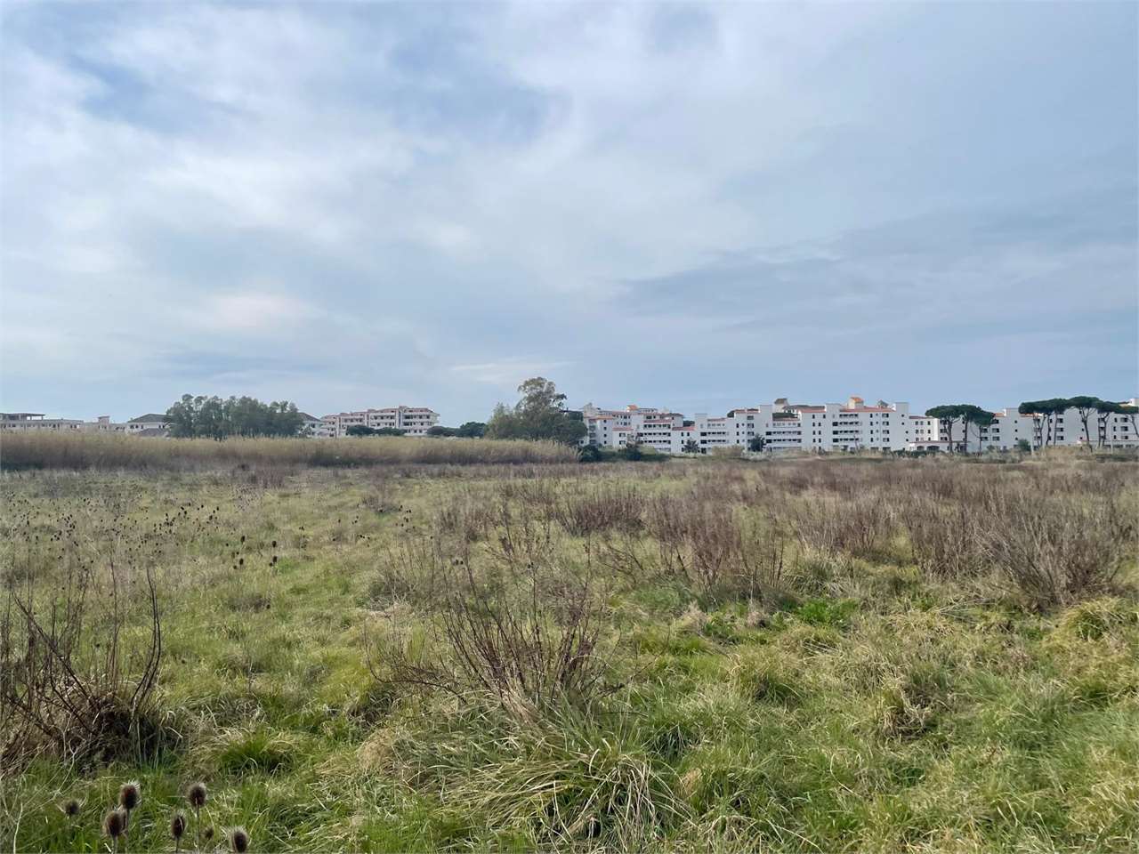 Terreno agricolo in vendita a Cellole (CE)