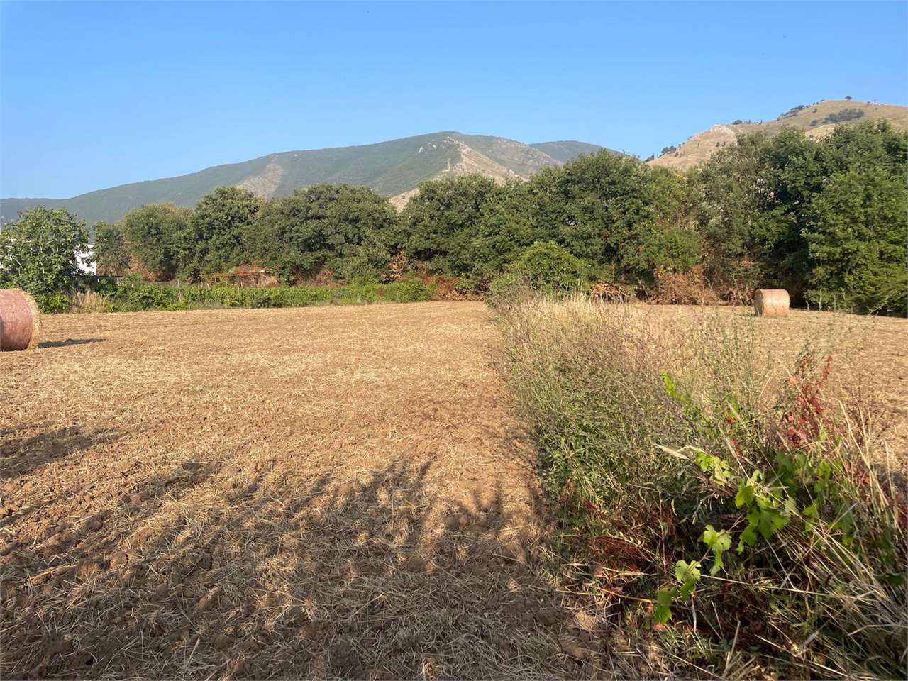 Terreno agricolo in vendita a Piedimonte, Sessa Aurunca (CE)