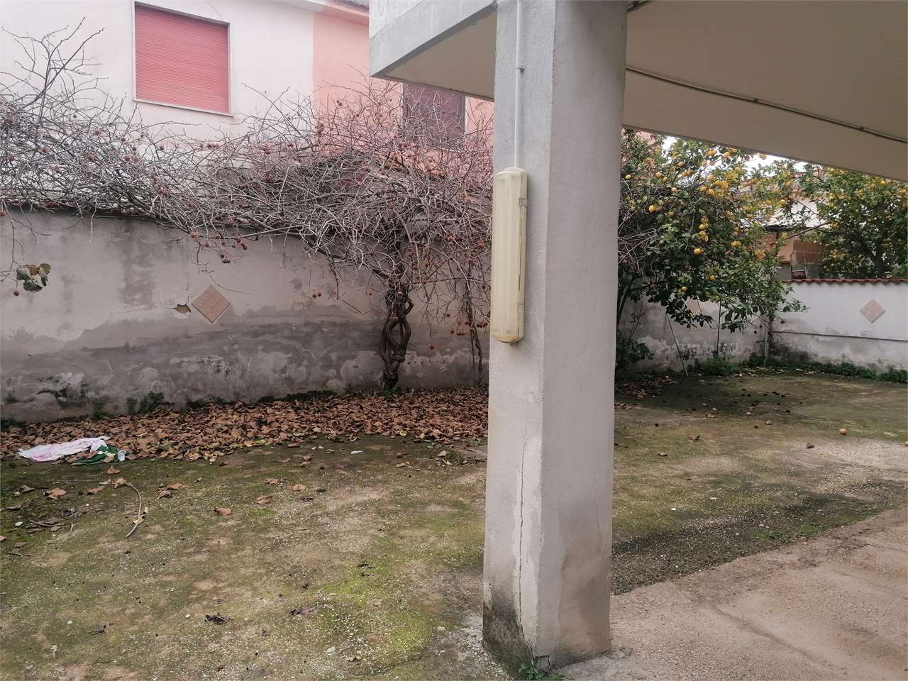 immagine annuncio 10 di 13