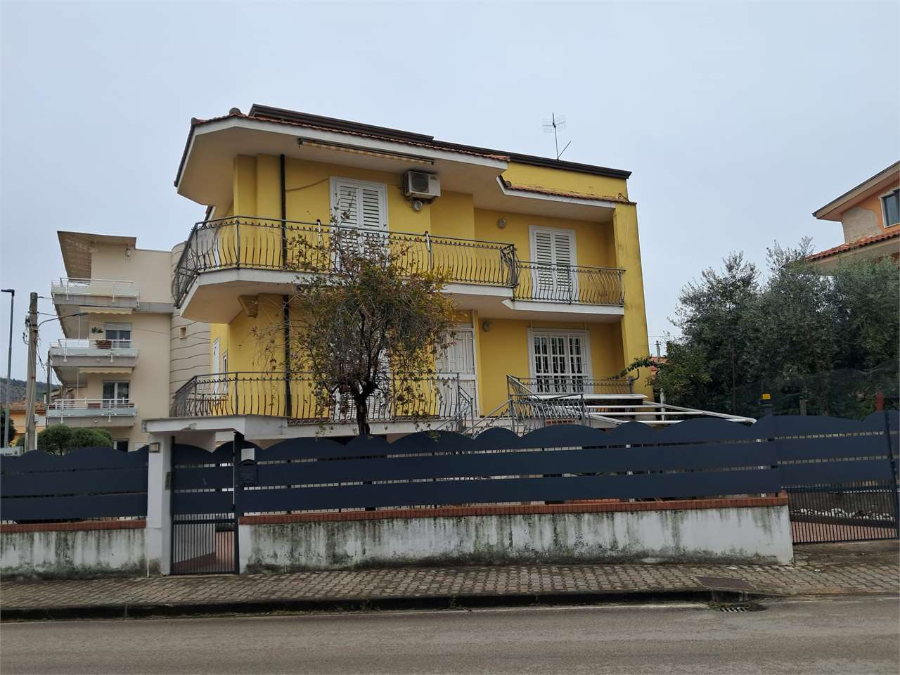 immagine annuncio 11 di 14