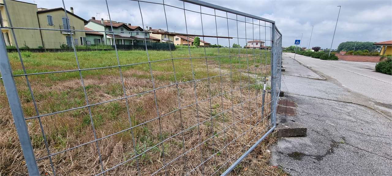 immagine annuncio 2 di 4