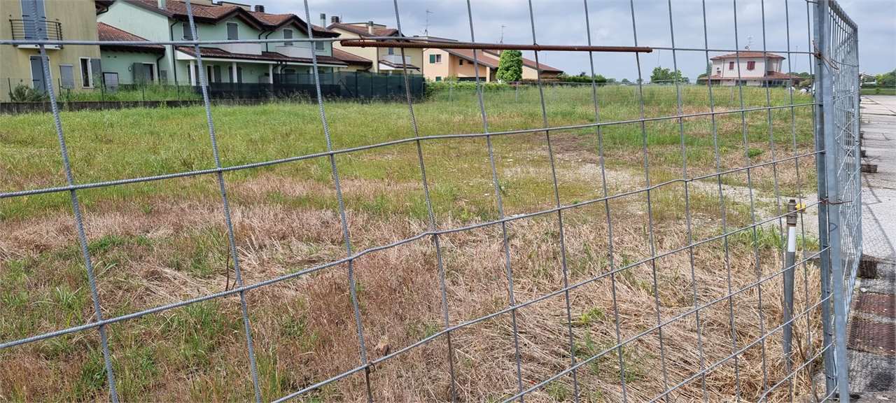 immagine annuncio 3 di 4