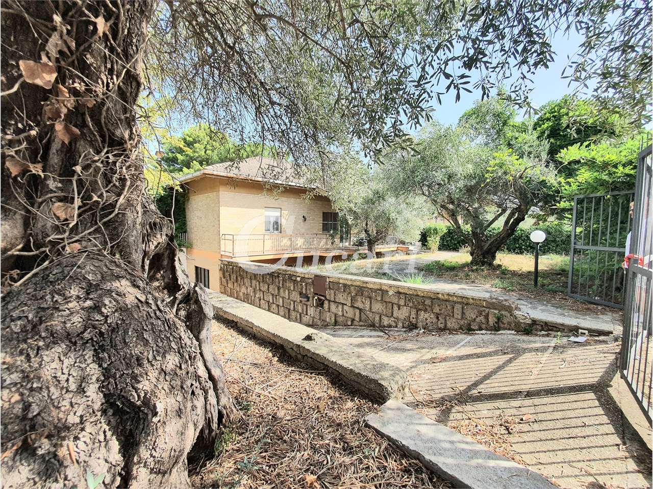 Fotografia Villa singola piccola 1