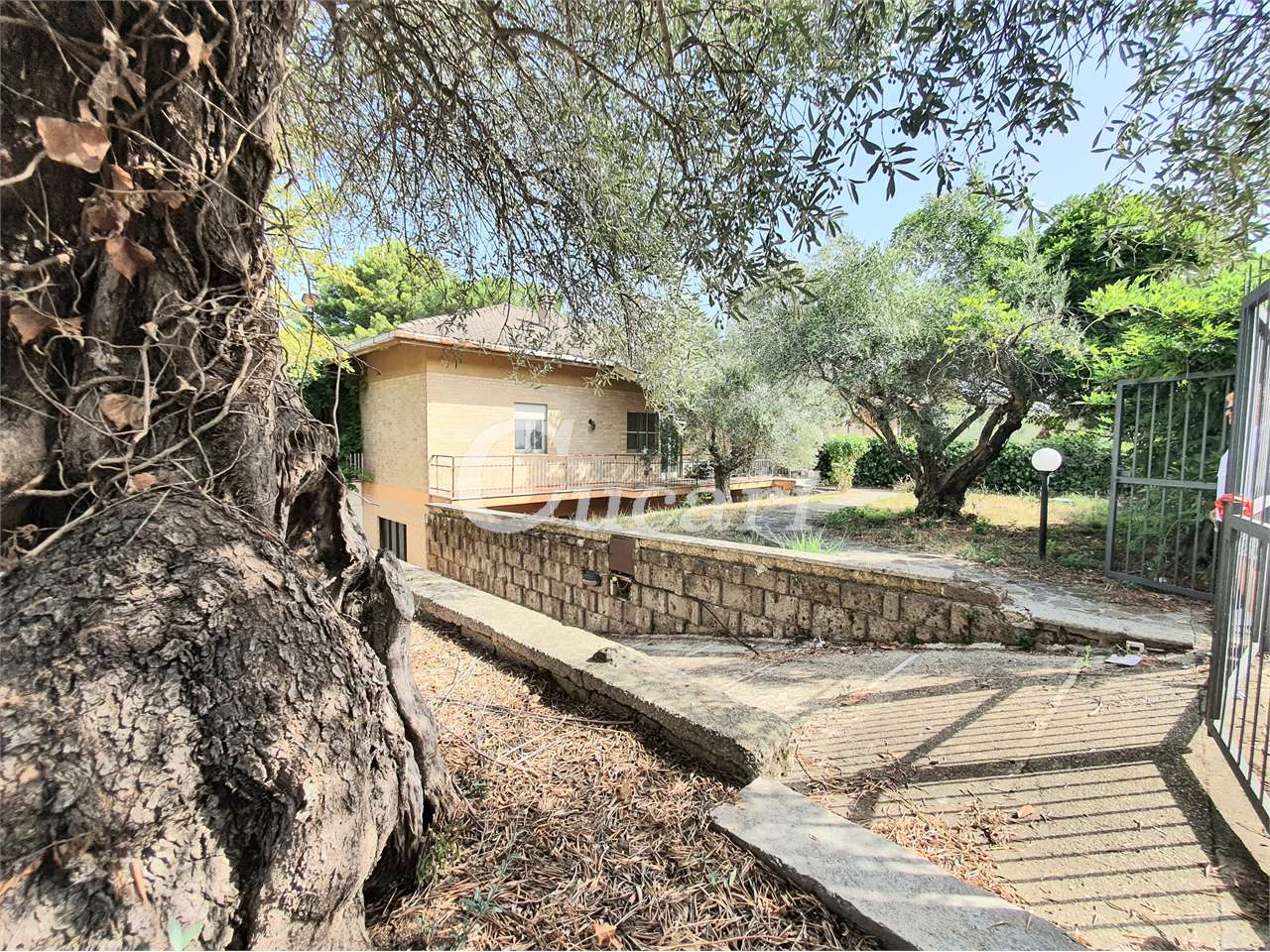 Fotografia Villa singola piccola 1