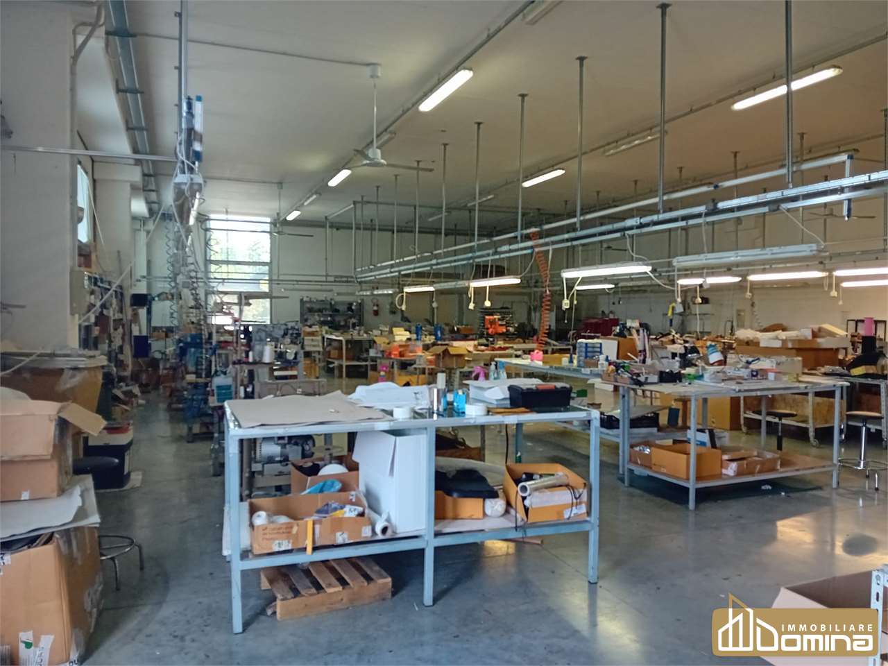 immagine annuncio 11 di 12