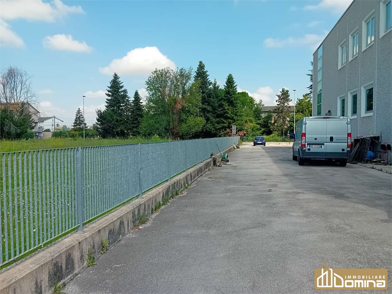 immagine annuncio 9 di 12