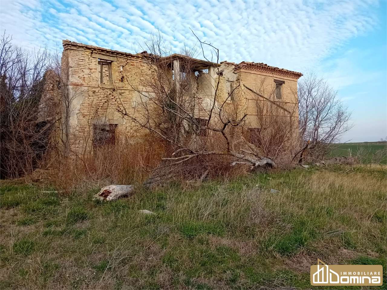 immagine annuncio 3 di 6