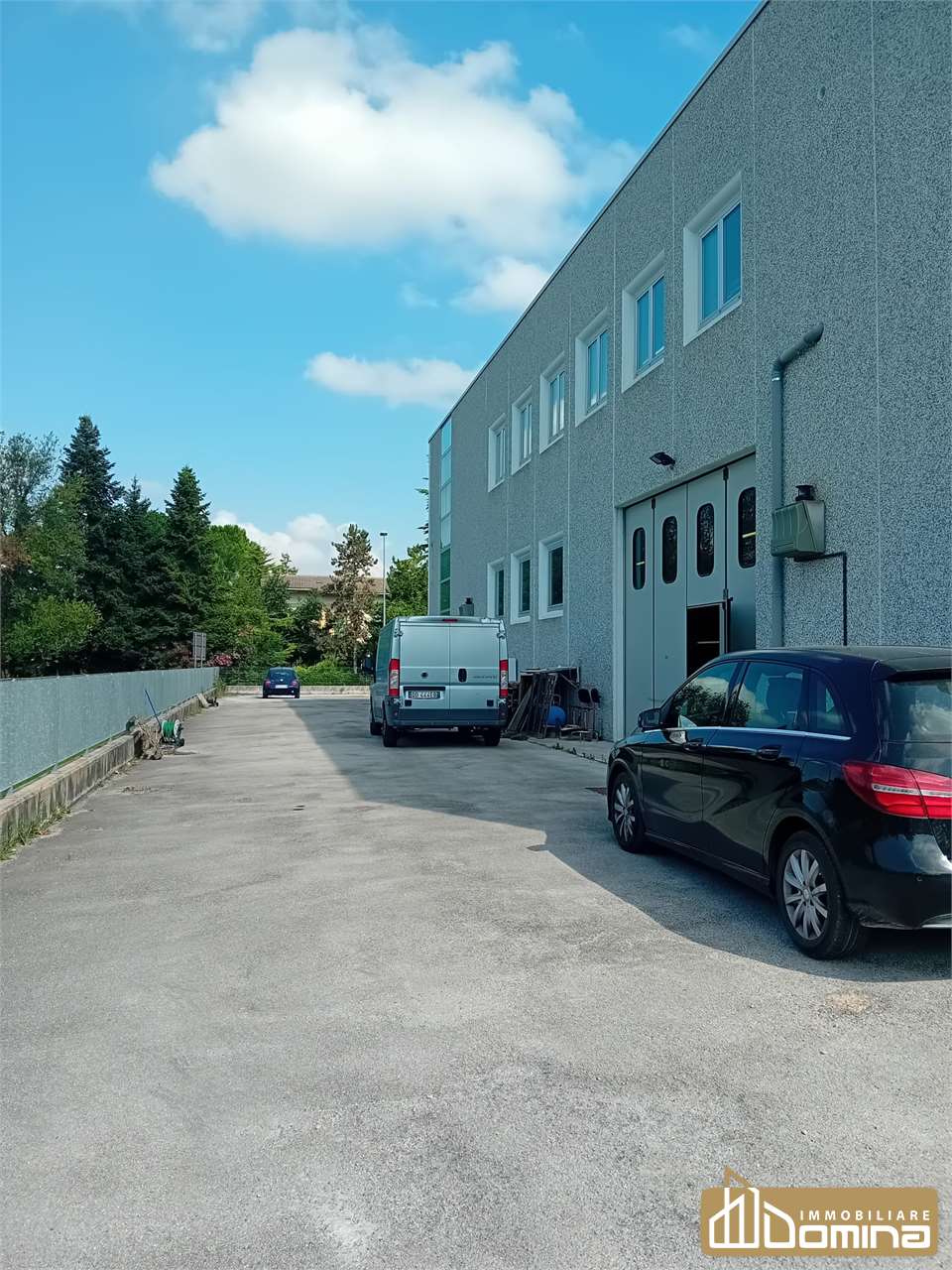 immagine annuncio 9 di 12