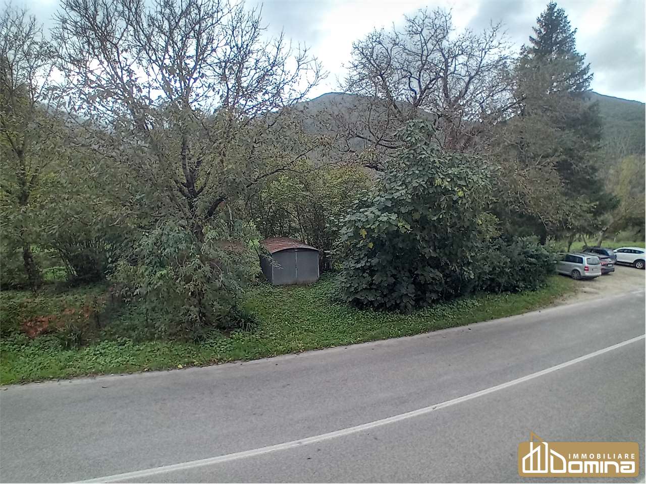 immagine annuncio 5 di 8