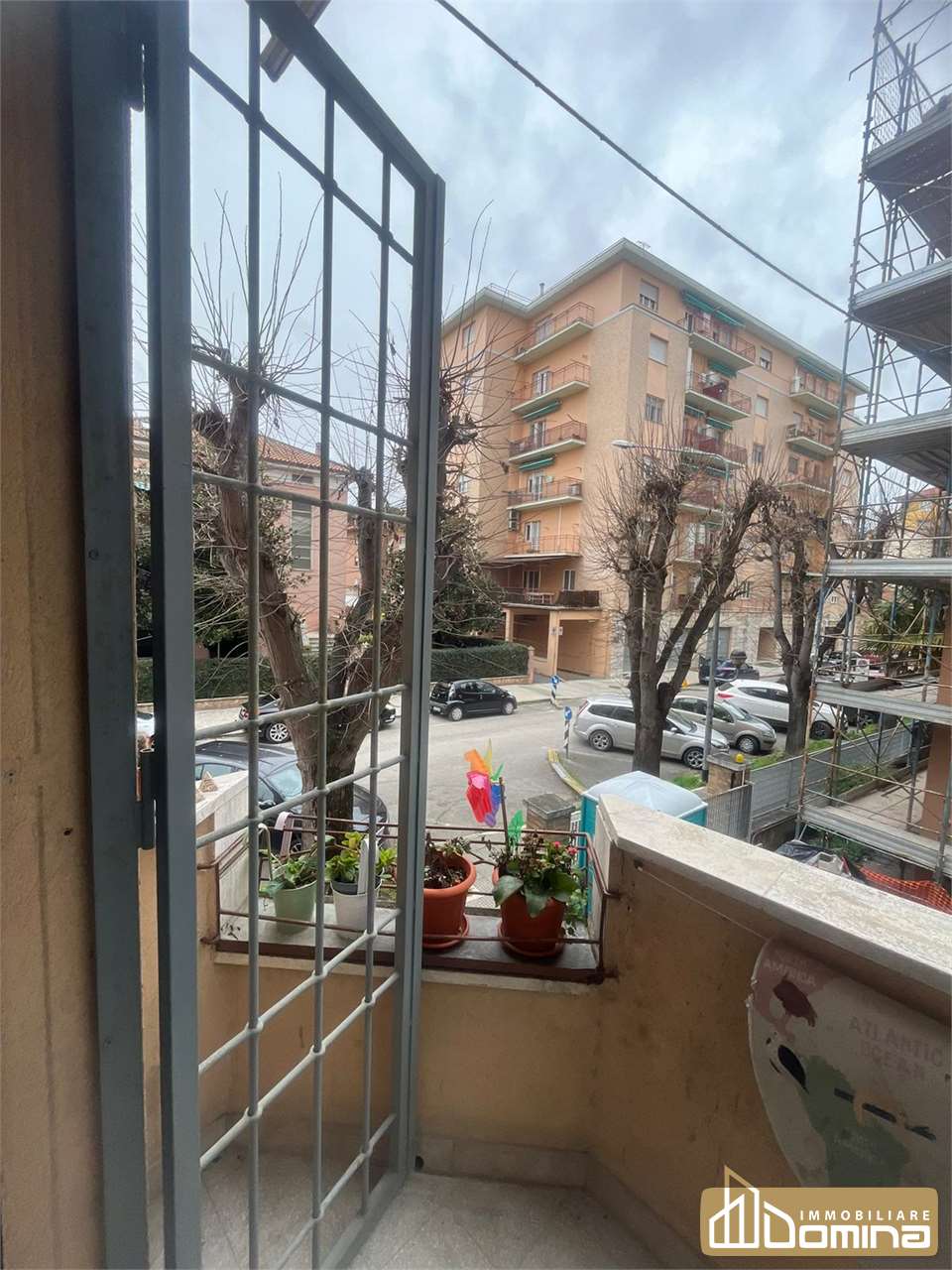 immagine annuncio 12 di 13