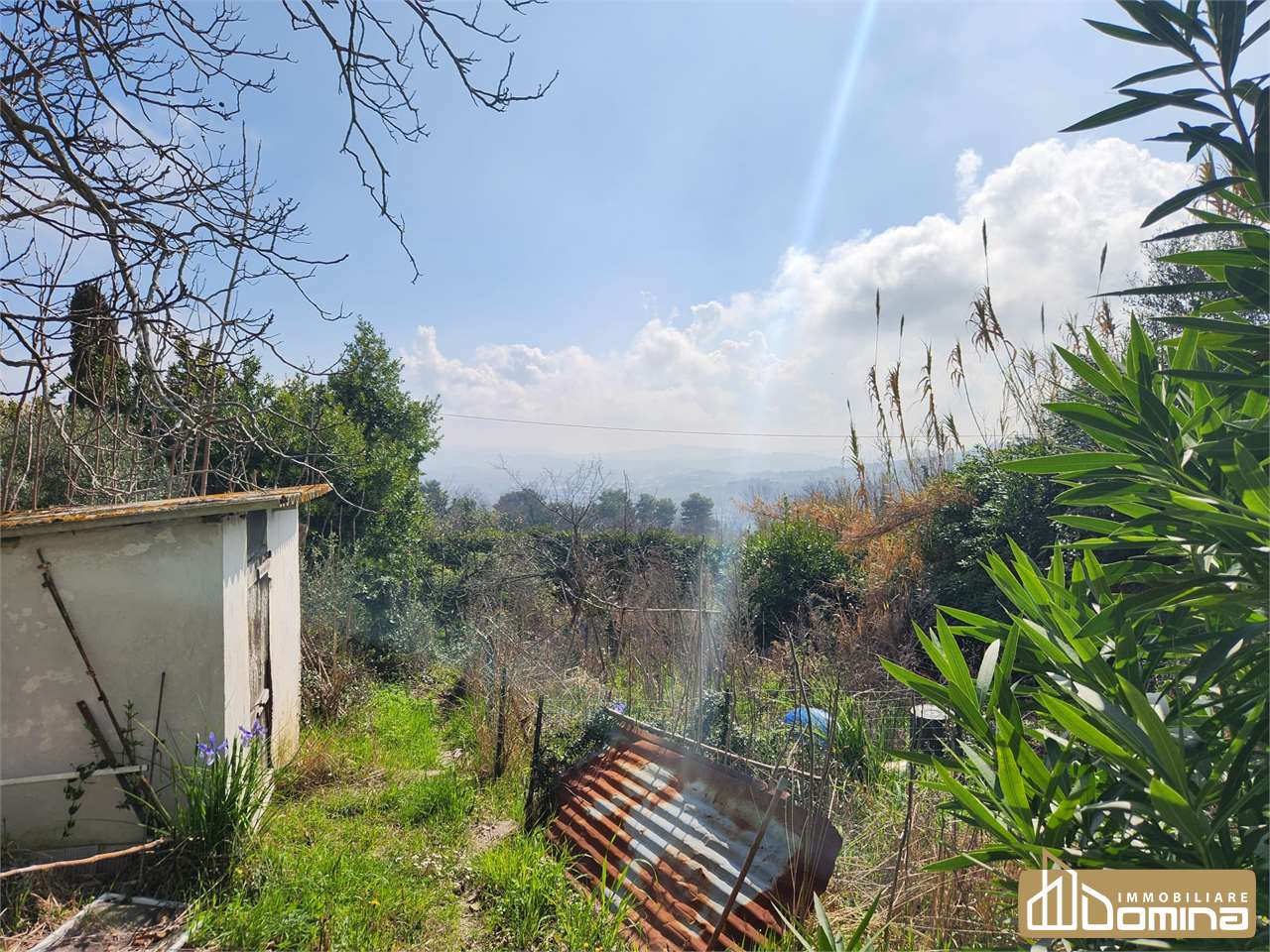 immagine annuncio 7 di 10