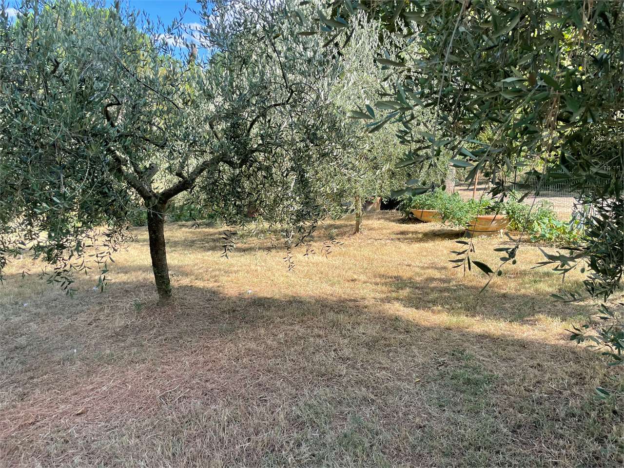 Casa Indipendente in vendita a Sinalunga - foto 9