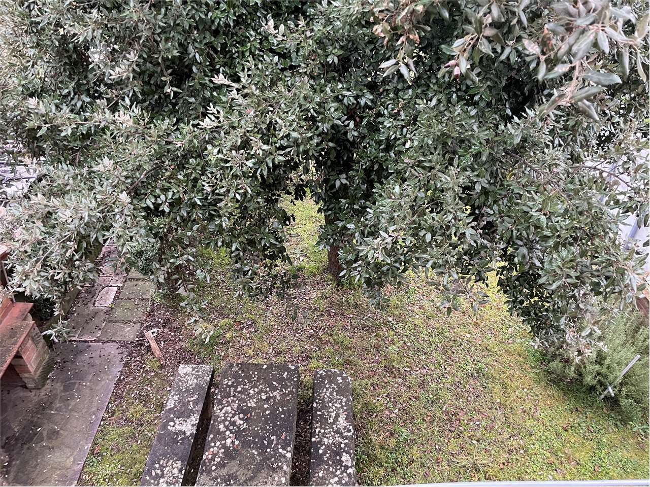 Appartamento in vendita a Monte San Savino - foto 10