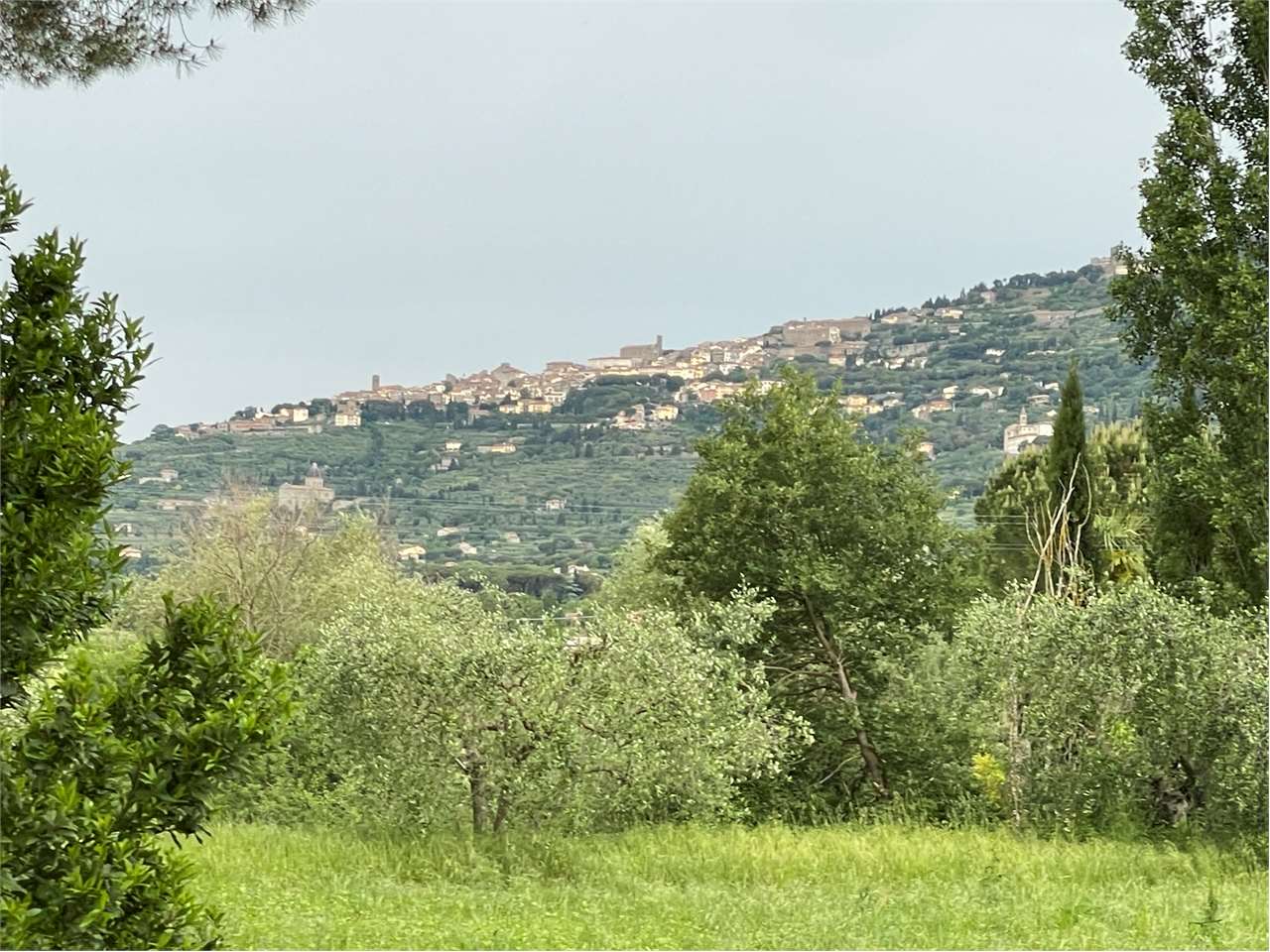 Rustico/Casale in vendita a Cortona - foto 3