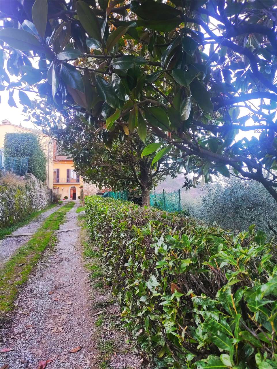 foto 30