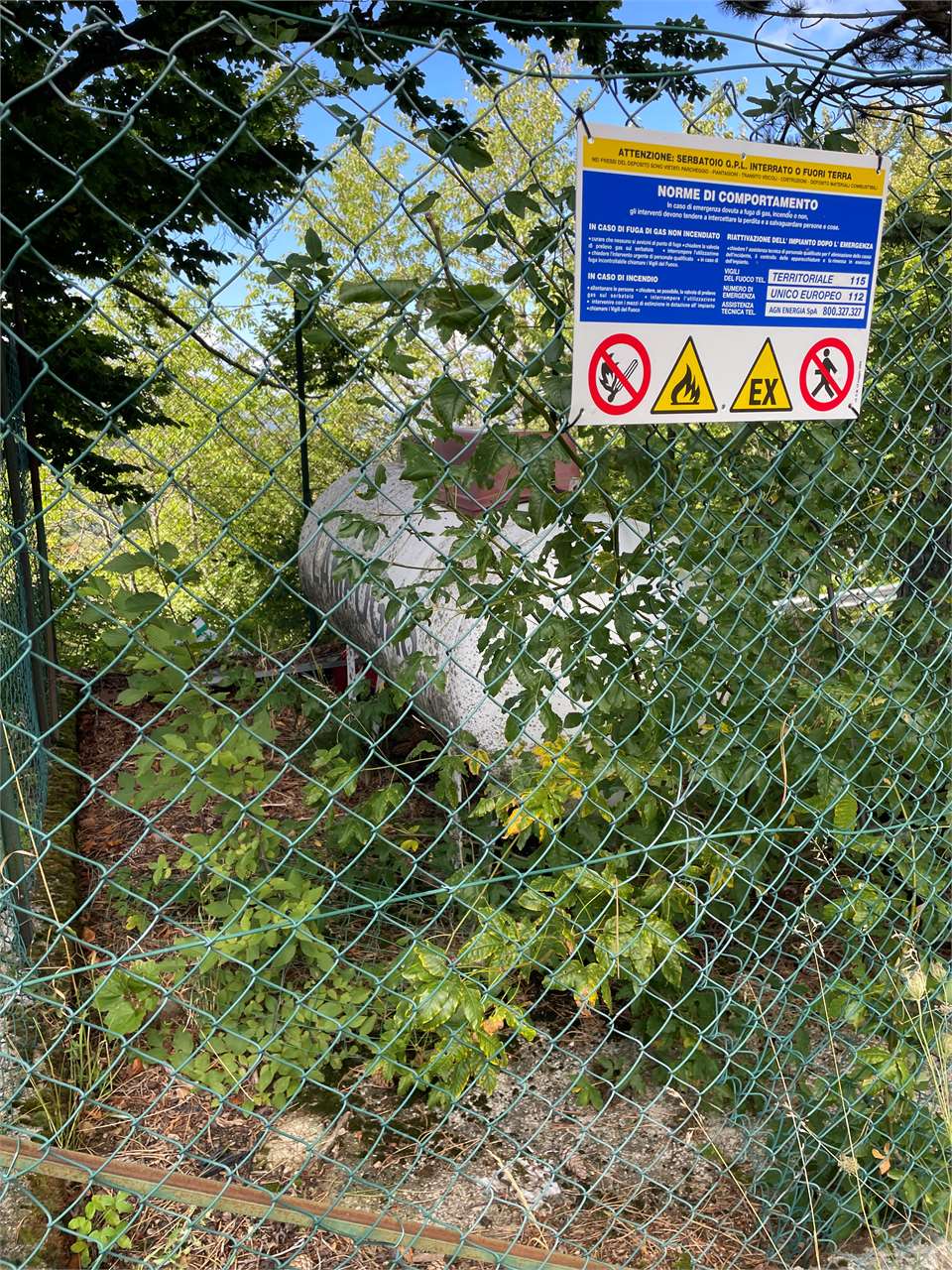 immagine annuncio 5 di 15