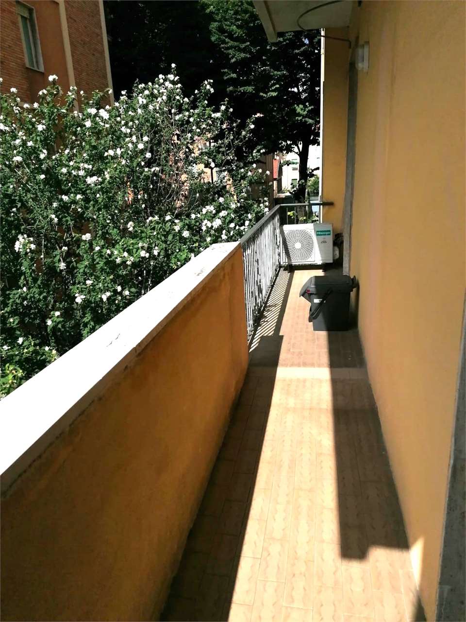 immagine annuncio 5 di 11