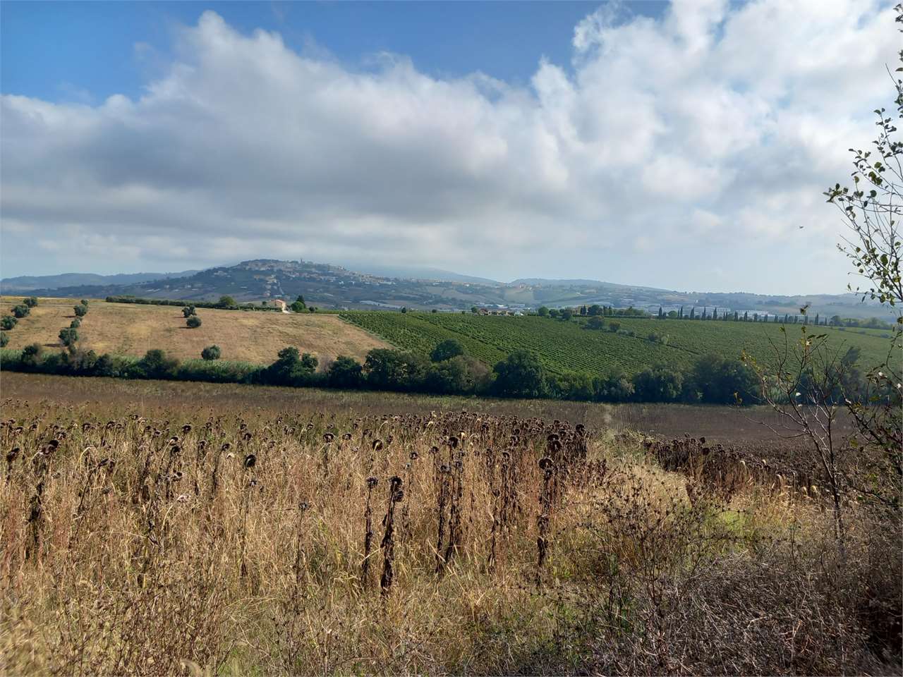 Rustico in vendita a Osimo (AN)