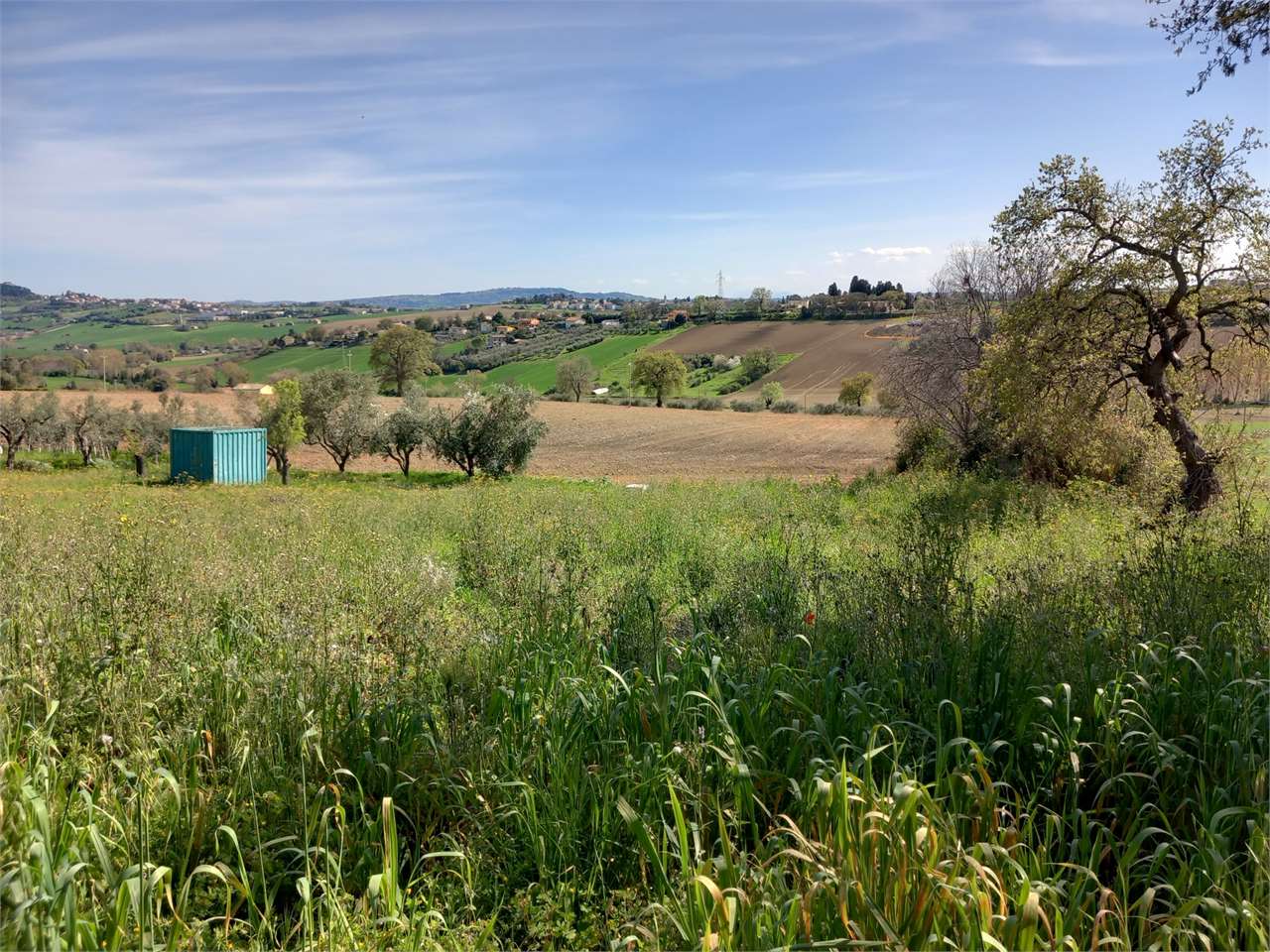 immagine annuncio 2 di 5