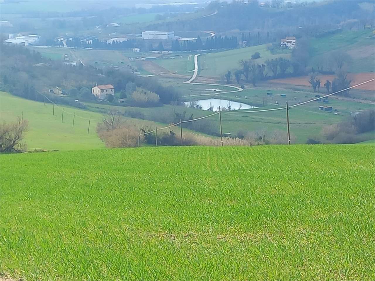 immagine annuncio 9 di 15