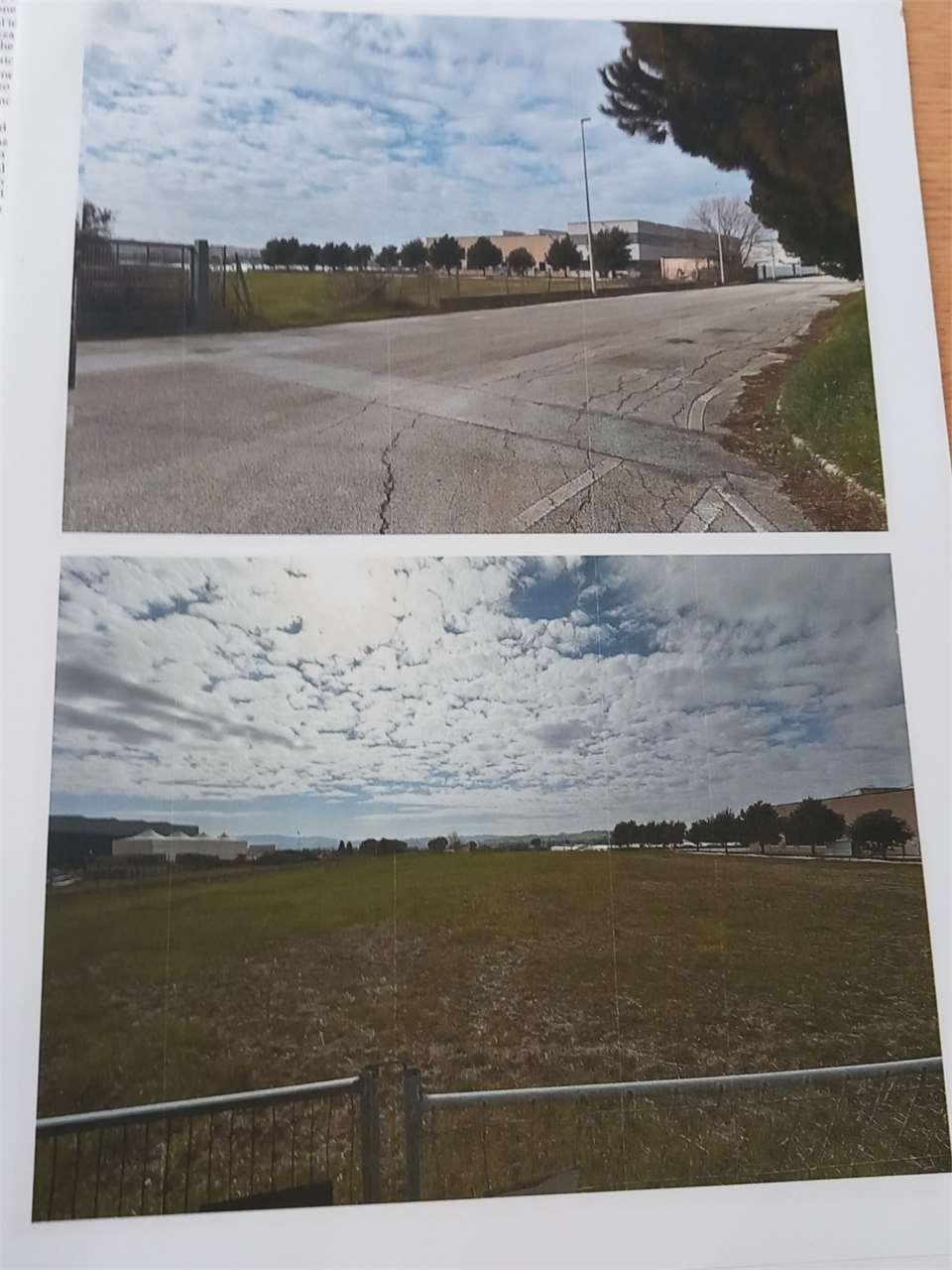 immagine annuncio 7 di 12