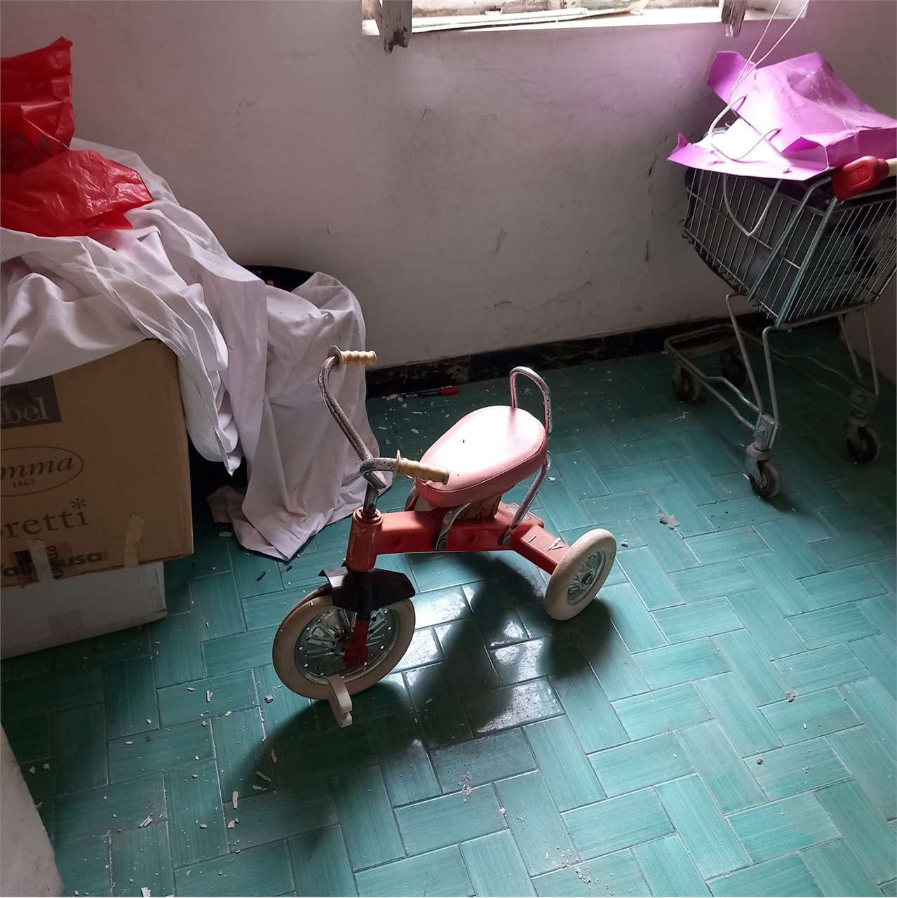 immagine annuncio 12 di 15