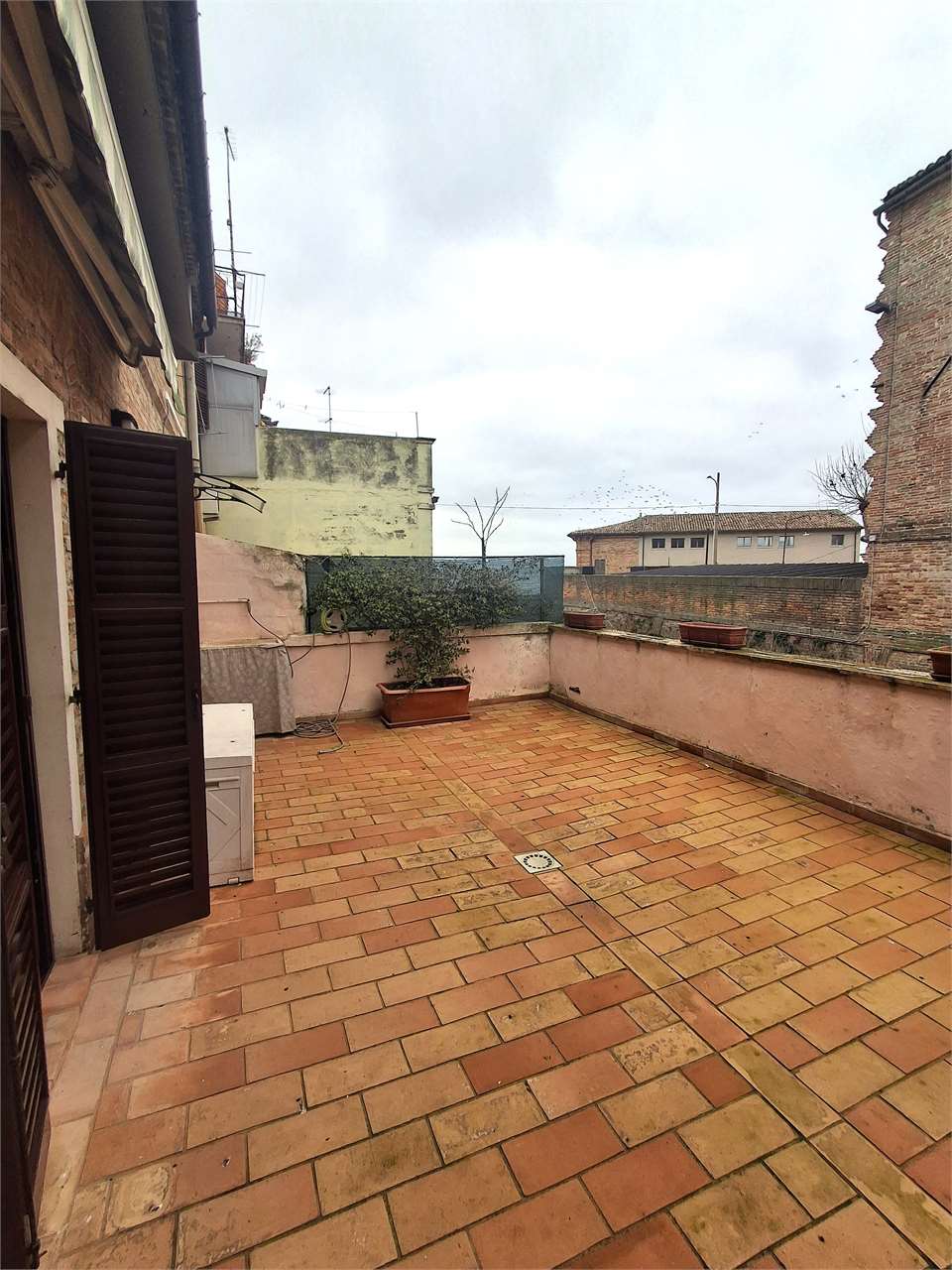 immagine annuncio 2 di 8