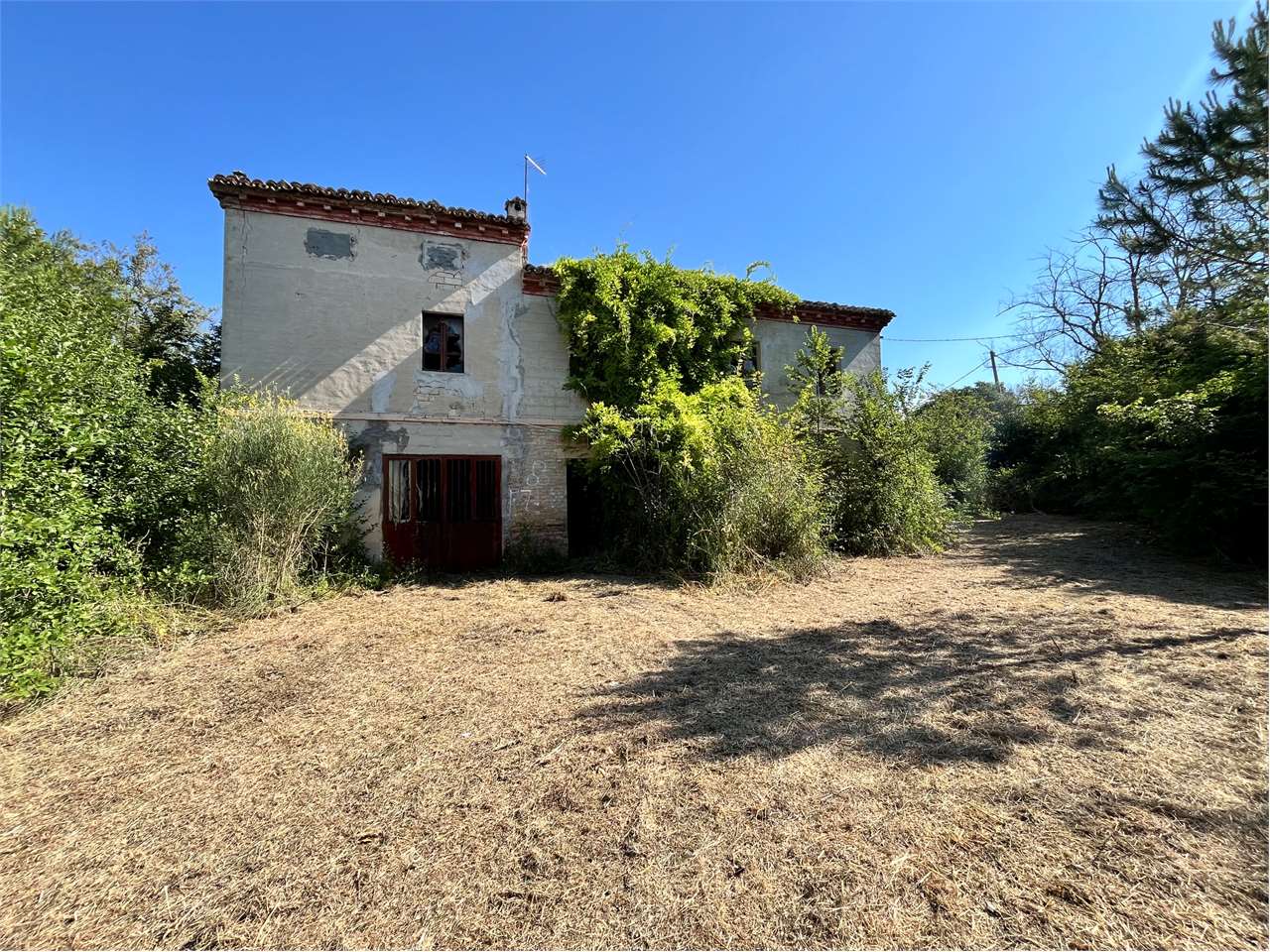 immagine annuncio 2 di 12