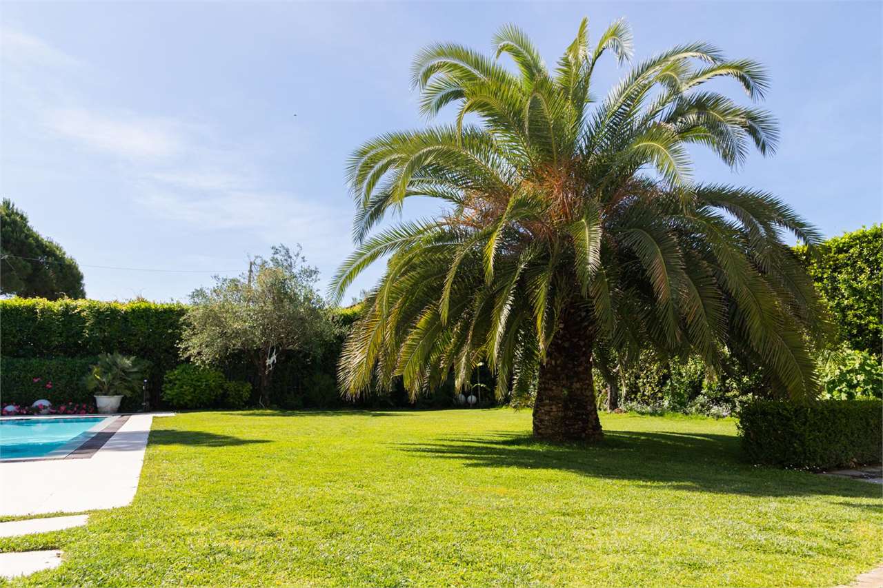 Villa Celeste — foto 44