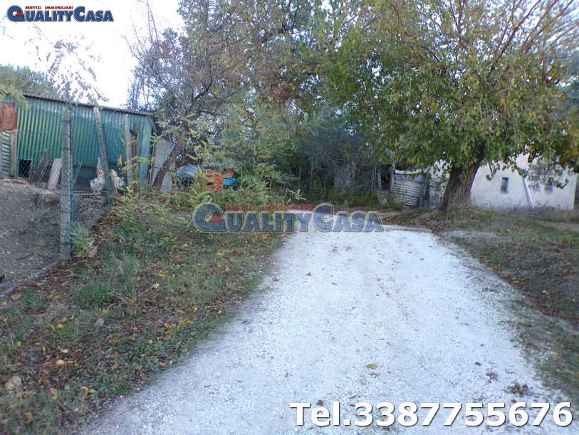 immagine annuncio 6 di 10