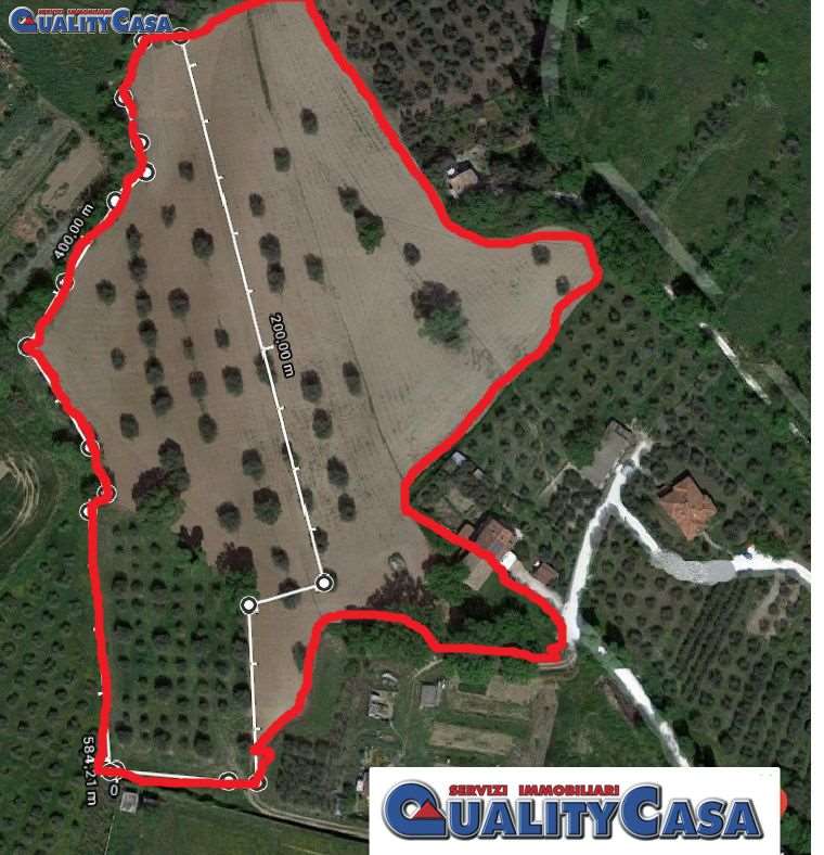 immagine annuncio 11 di 15