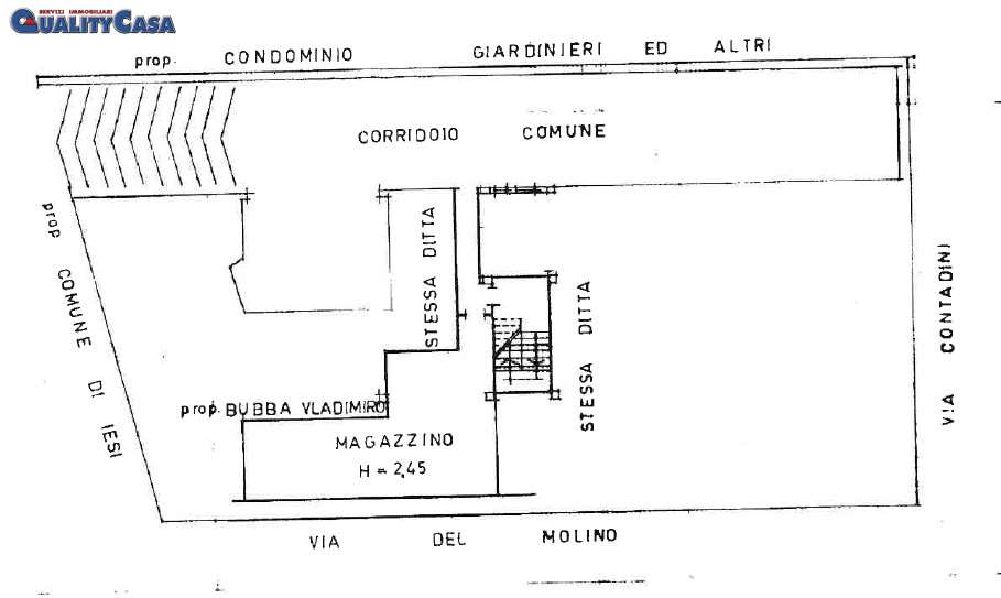 immagine annuncio 1 di 3