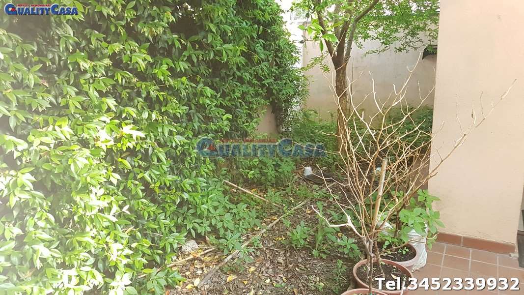 immagine annuncio 4 di 7