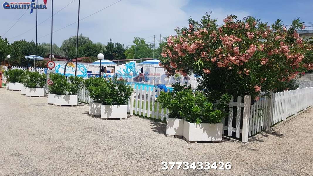 immagine annuncio 1 di 8