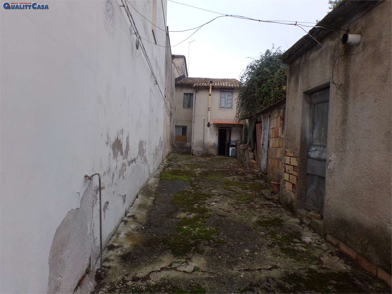 immagine annuncio 12 di 14