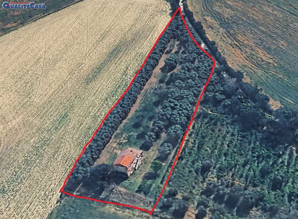 immagine annuncio 4 di 13