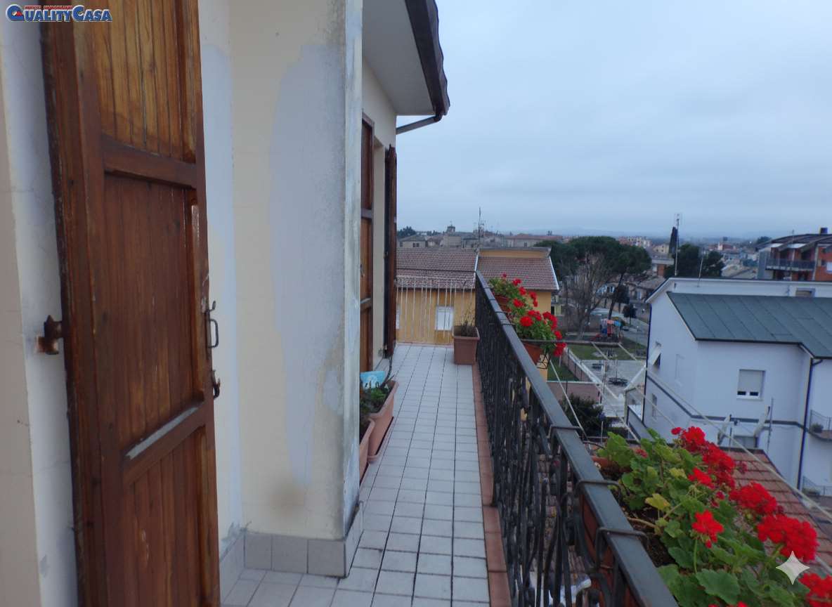 immagine annuncio 9 di 14