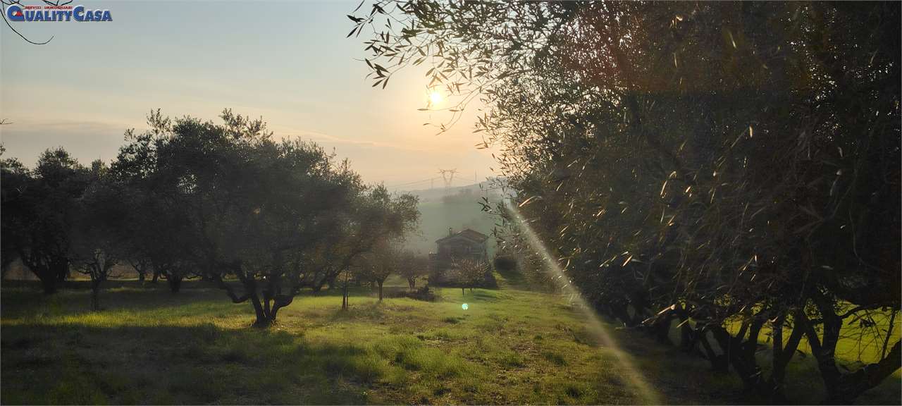 immagine annuncio 13 di 14