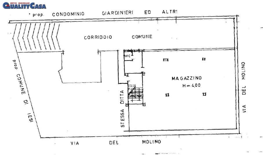 immagine annuncio 1 di 10