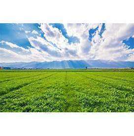 Terreno edificabile  in <br/> vendita a Gorizia