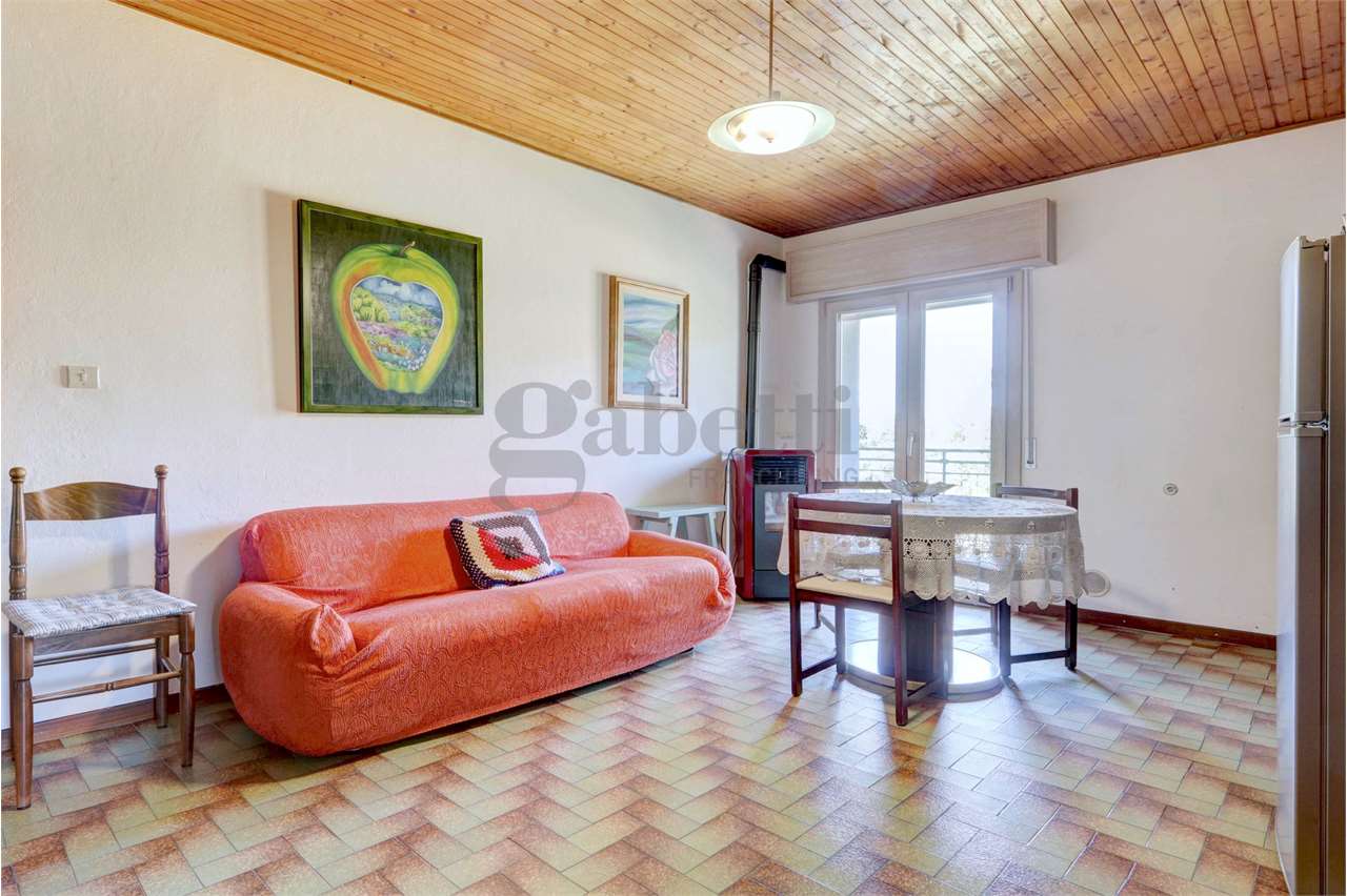 immagine annuncio 7 di 14