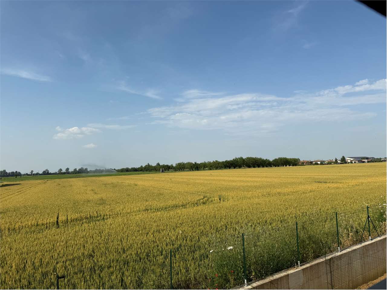 immagine annuncio 7 di 8