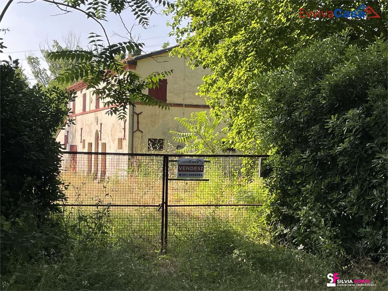 immagine annuncio 13 di 15